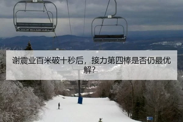 谢震业百米破十秒后，接力第四棒是否仍最优解？