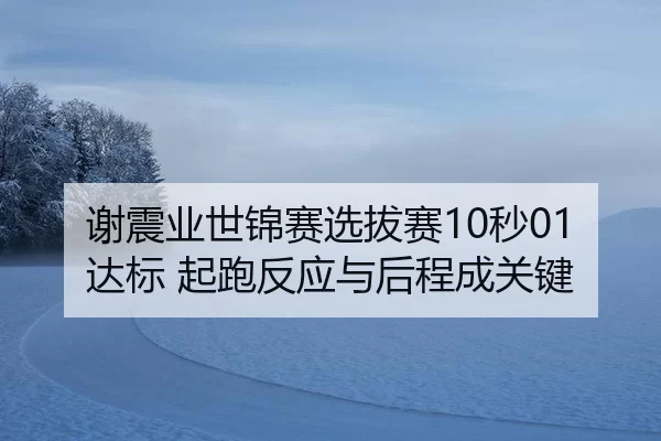 xie-zhen-ye-shi-jin-sai-xuan-ba-sai-miao-da-biao-qi-pao-fan-ying-yu-hou-cheng-cheng-guan-jian-2-204.jpg