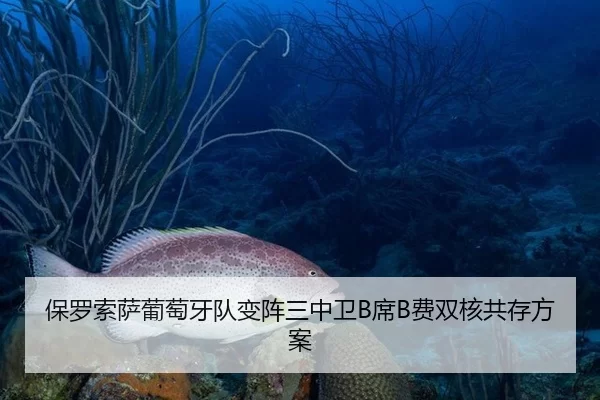 保罗索萨葡萄牙队变阵三中卫B席B费双核共存方案